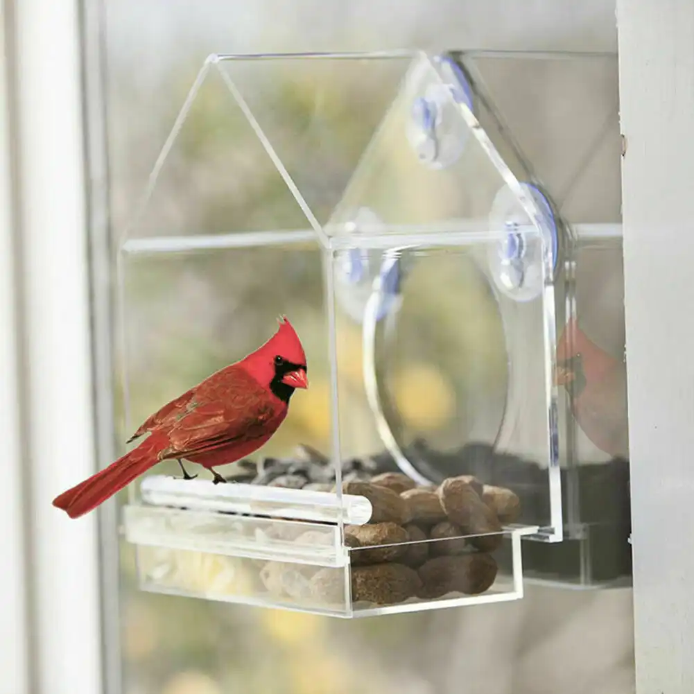 Bird Feeder Triangle Tray Clear Window Mount Suction Cup Seed