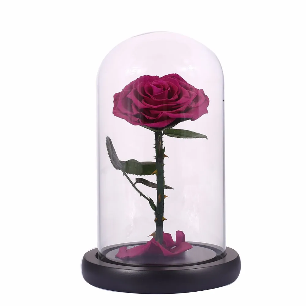 Romantic Glass Cover Preserved Rose Flowers Little Prince for Christmas Gifts Rose Wedding Decor Valentine'S Day New Year Gift For Lover Wife Eternal Rose Flower Family Home Decoration Romantic Glass Cover Preserved Rose Flowers Little Prince for Christmas Gifts Rose Wedding Decor Valentine'S Day New Year Gift For Lover Wife Eternal Rose Flower Family Home Decoration