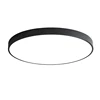 110 v 220 v Rosa verde amarillo negro blanco LED lámpara de techo accesorios con mando a distancia para dormitorio interior cocina en la habitación ► Foto 2/6