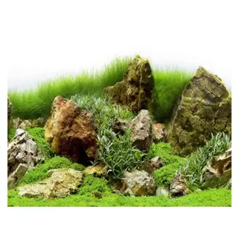 

9078 23.3" x 60" Double Sided Aquarium Decoration River Rock Sea of Green Poster Fish Tank Background Picture Wall Decor Glossy