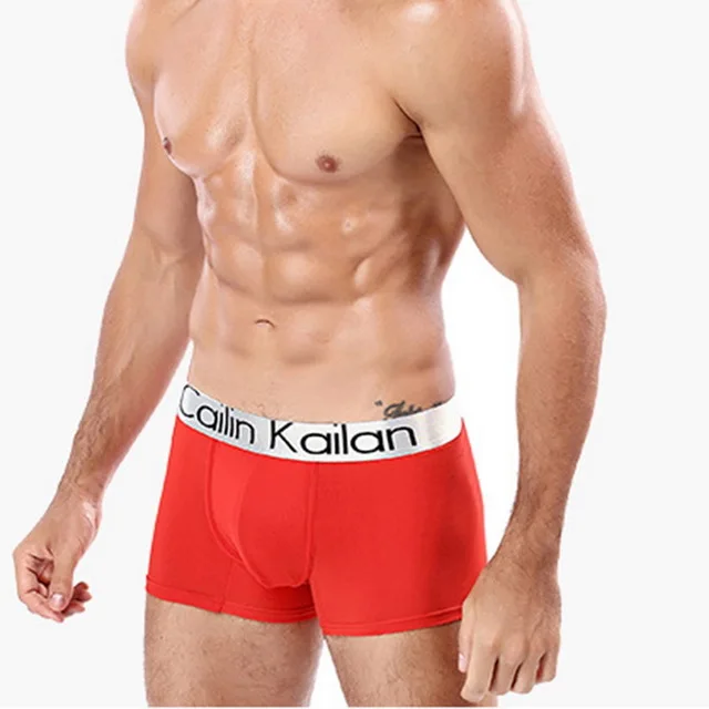 NIBESSER-Modal-Underwear-Men-s-Boxers-Breathable-Quick-Dry-Boxer-Man-Underwear-Cueca-Boxer-Men-Panties.jpg_640x640 (7)