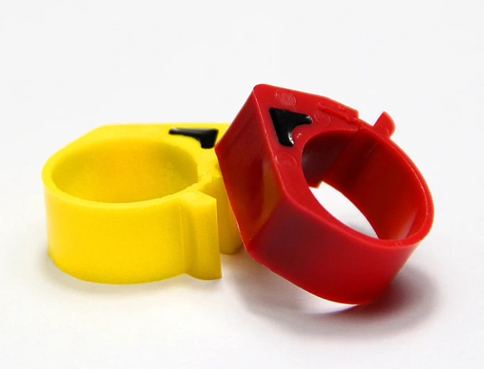 Big Birds Rings (5)