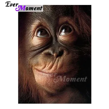 

Ever Moment Diamond Painting 5D DIY Eager Eyes Orangutan Handmade Full Square Picture Of Rhinestone Diamond Embroidery 3F783