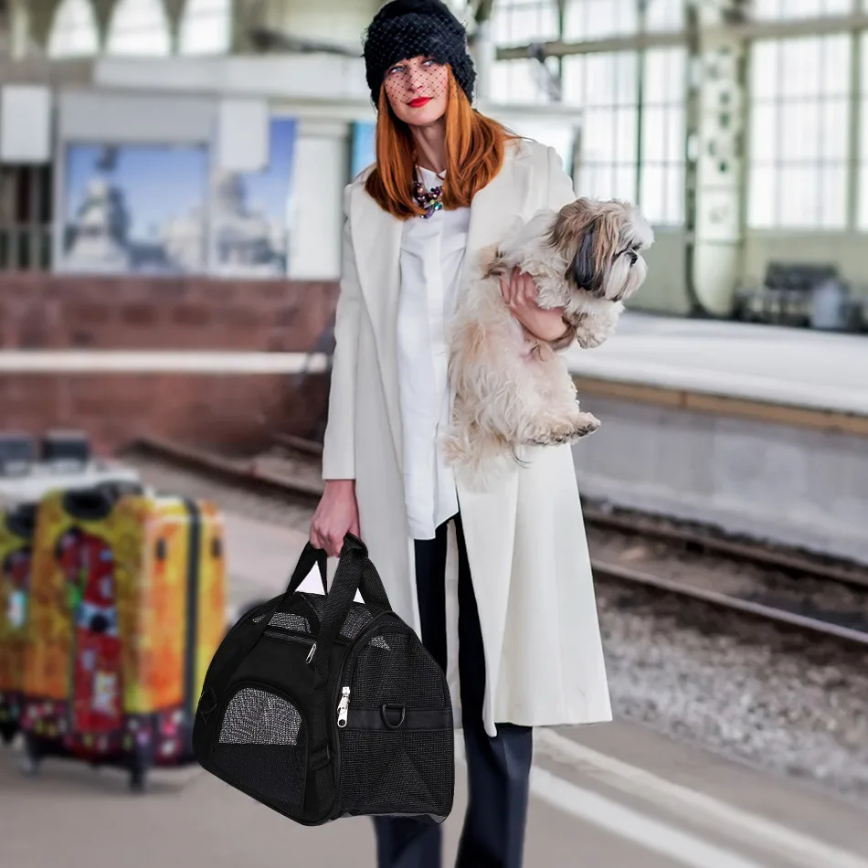 carrying bag for cats