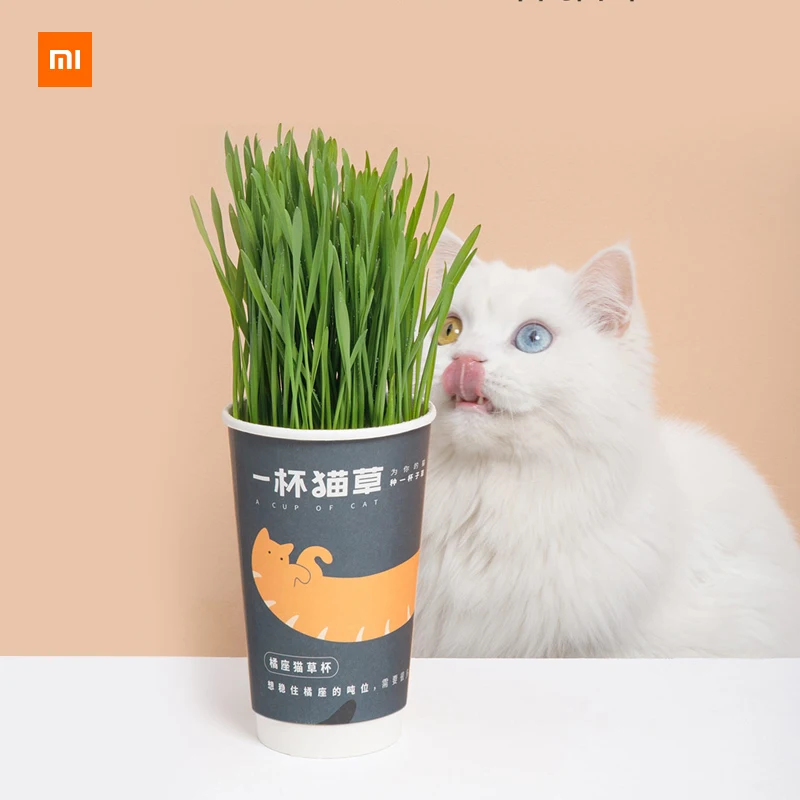 

New Xiaomi Mijia Youpin Tail life a cup of cat grass hair cat Easy planting high germination rate and delicious nutrition