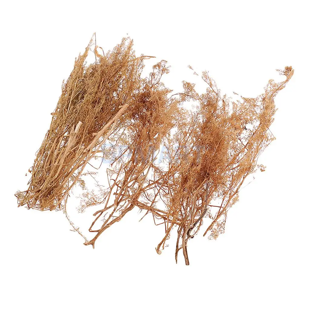 

25cm Height Natural Quinoa Tree Model DIY for Train Railway Diorama Scenery Prop