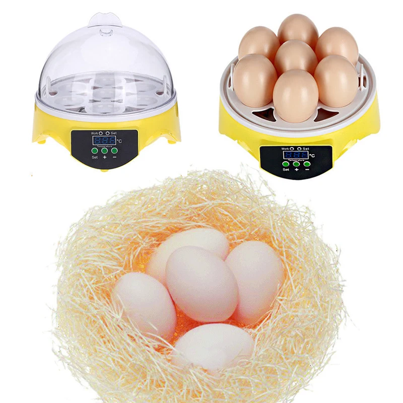 7 Eggs Incubator Chicken Duck Bird Poultry Digital Automatic Hatcher Hatching 7 Eggs Incubator Chicken Duck Bird Poultry Digital Automatic Hatcher Hatching