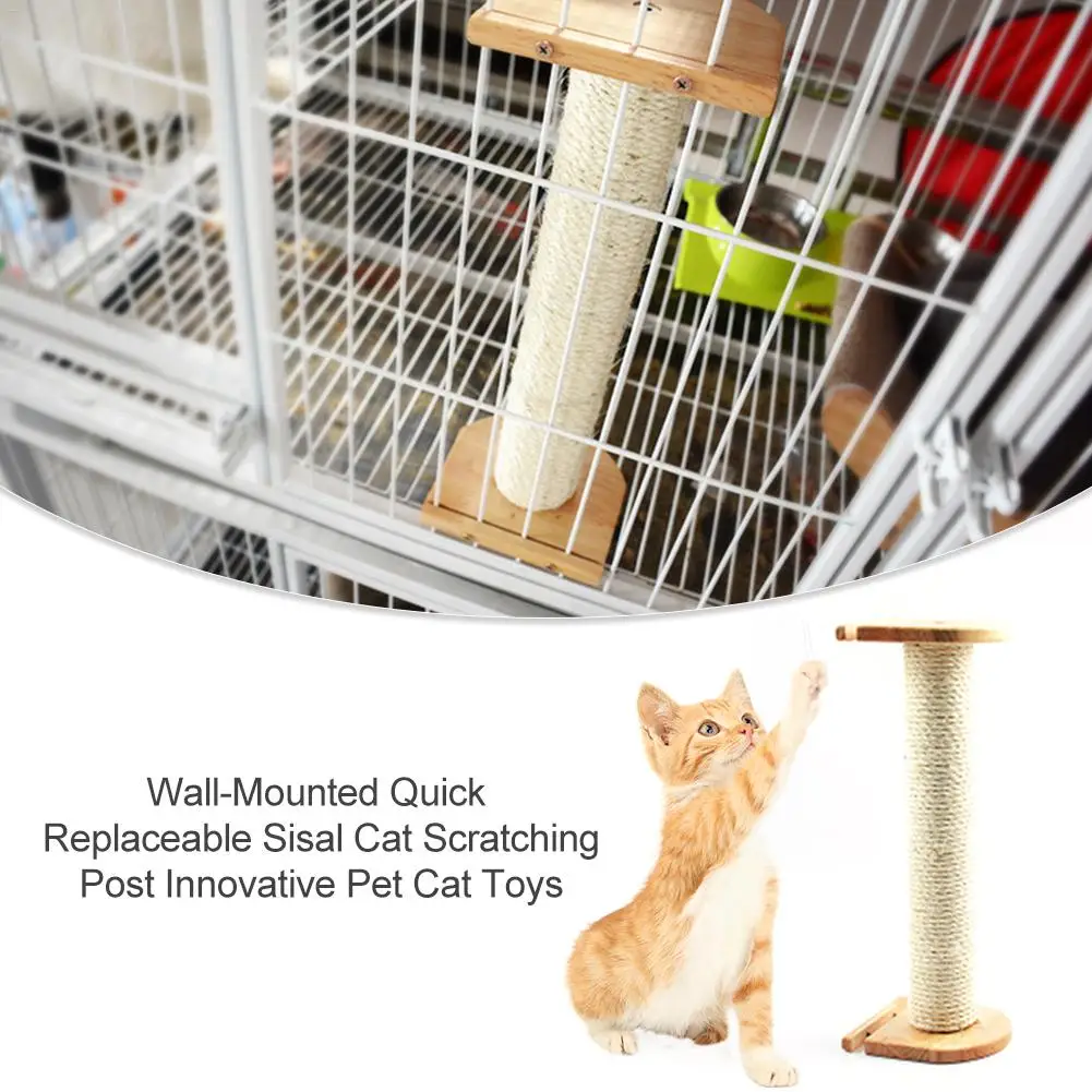 innovative cat toys