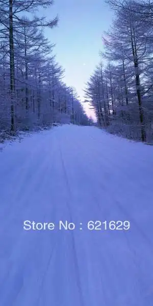 

Charming snow scene 10'x20' CP Computer-painted Scenic Photography Background Photo Studio Backdrop MSL-3