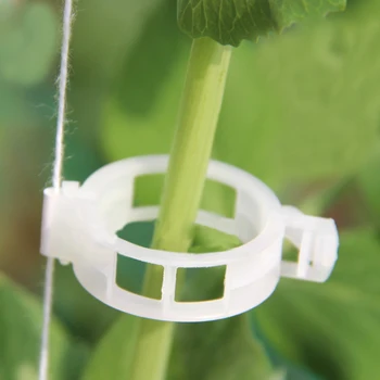 

Reusable Light Weight 100pcs Plastic Tomato Veggie Garden Plant Support Clips Greenhouse Twine Tool