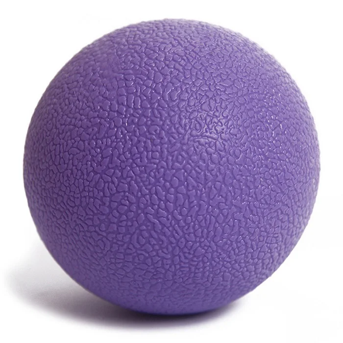 2S40113-PL