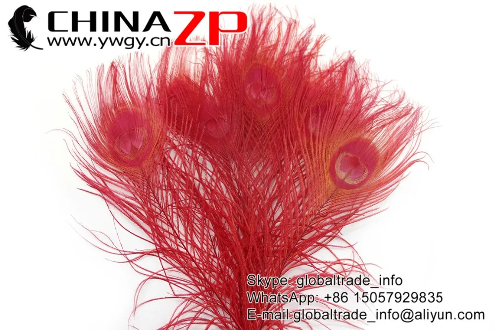 Red Peacock Feathers (2)