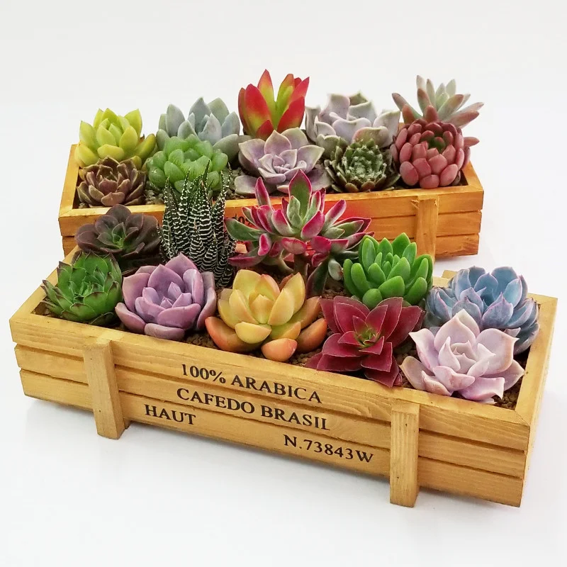 

Bonsai Accessories Wooden Flower Pots Decoration for Potted and Artificial Flowers Plants Gardenpots Home Decoration Accessories