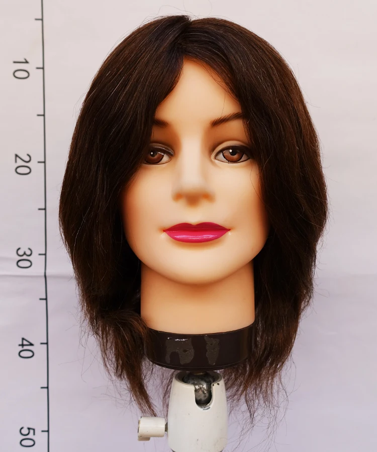 Buy OMC Approved Male Mannequin Heads 100 human hair