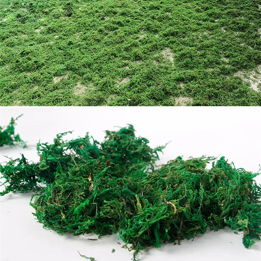 50g/bag Natural dry real green moss decorative plants artificial turf