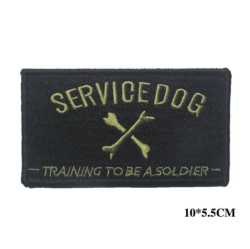 SERVICE DOG TRAINING TO BE A SOLDIER USA ARM PATCH Badge Morale