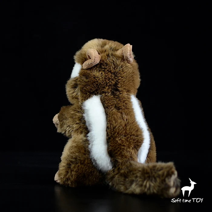O1CN01isN0NS1DnZsNEIDGP_!!22080261