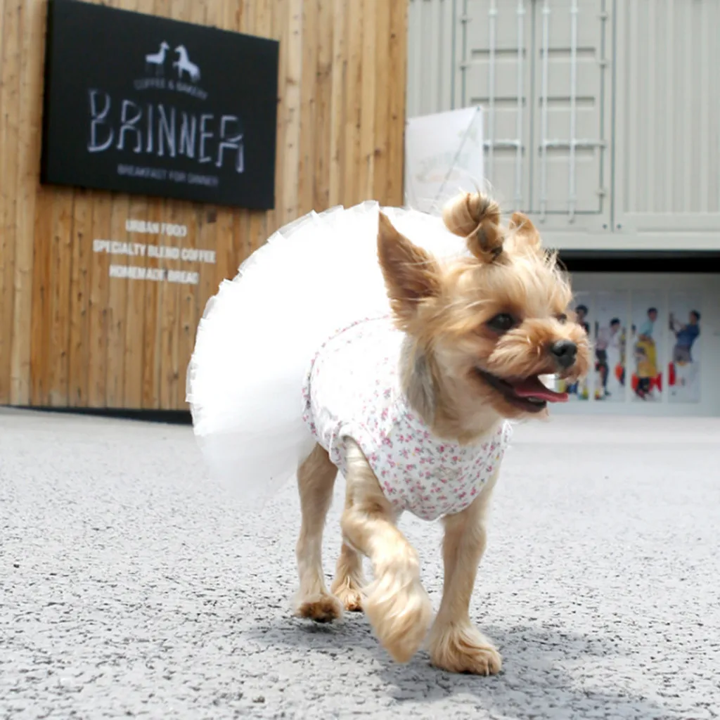 Transer платье для собак модные Pet весенне-летние дышащие элегантные собака пачка Белая юбка кошка Disfraz Perro 19May27 P35