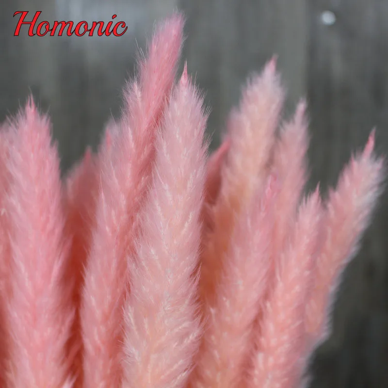 spesifikasi 15 Pcs Banyak Alami Bunga Kering Reed Tumbuhan Alami Dekorasi untuk Pesta Rumah Pernikahan Dekorasi DIY Bunga Buket Murah 15 Pcs Banyak Alami Bunga Kering Reed Tumbuhan Alami Dekorasi untuk Pesta Rumah Pernikahan Dekorasi DIY Bunga Buket