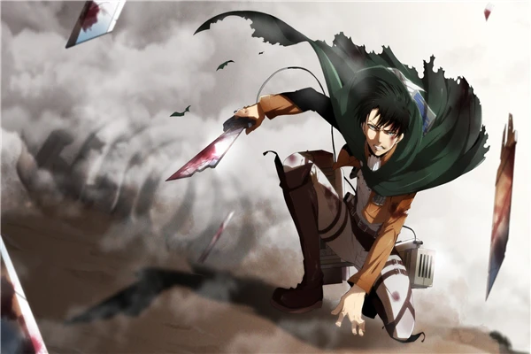 free shipping levi