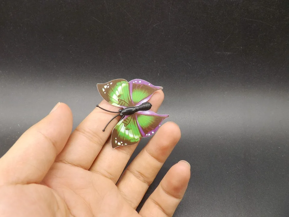 I253-Butterfly (2)