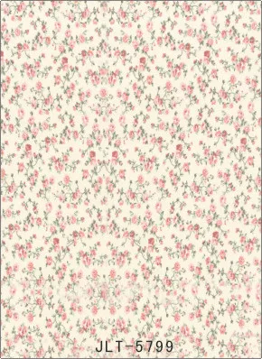 

200cm*300cm Children theme Vinyl backdrops for photography Studio Background Prop JL-5799