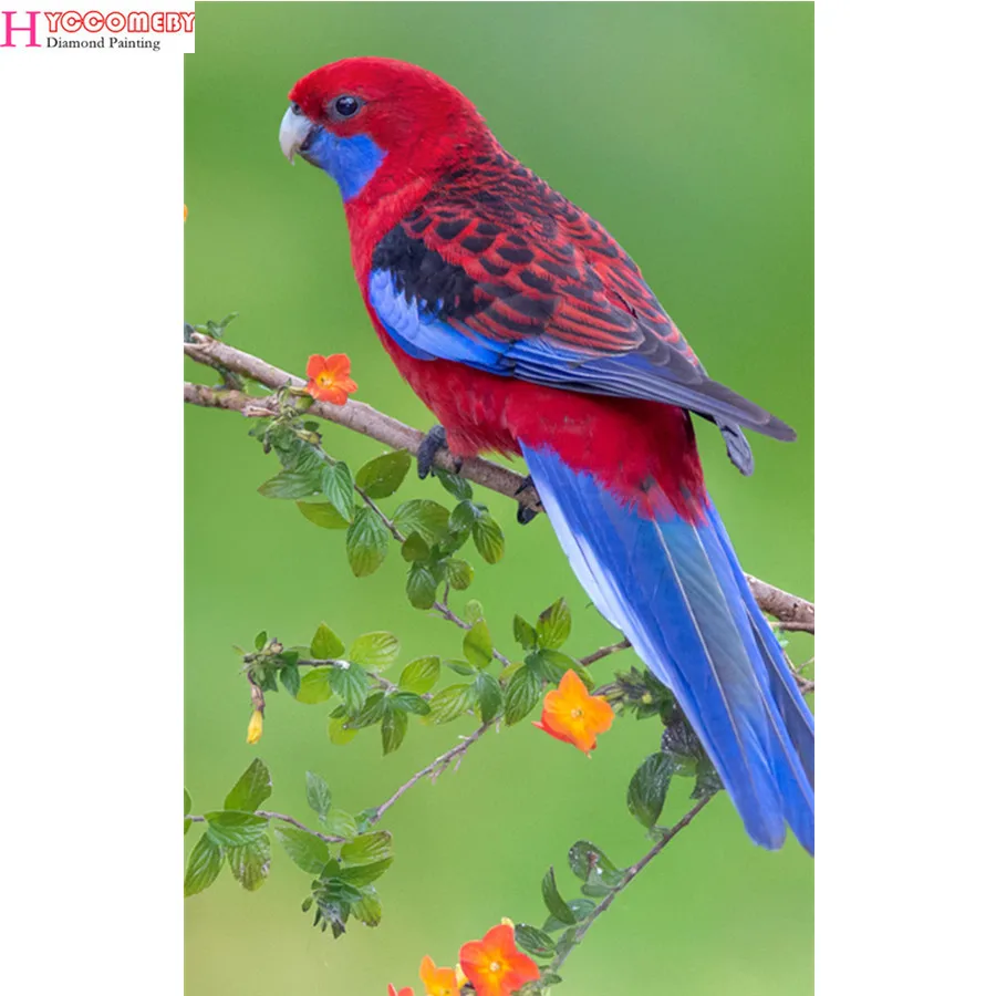 

Diamond Painting Diy Full Square Daimond Painting animal bird parrot Rhinestone Painting Diamond for Living Room Decor Wall Art
