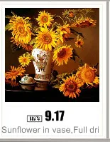 AeProduct.getSubject ()