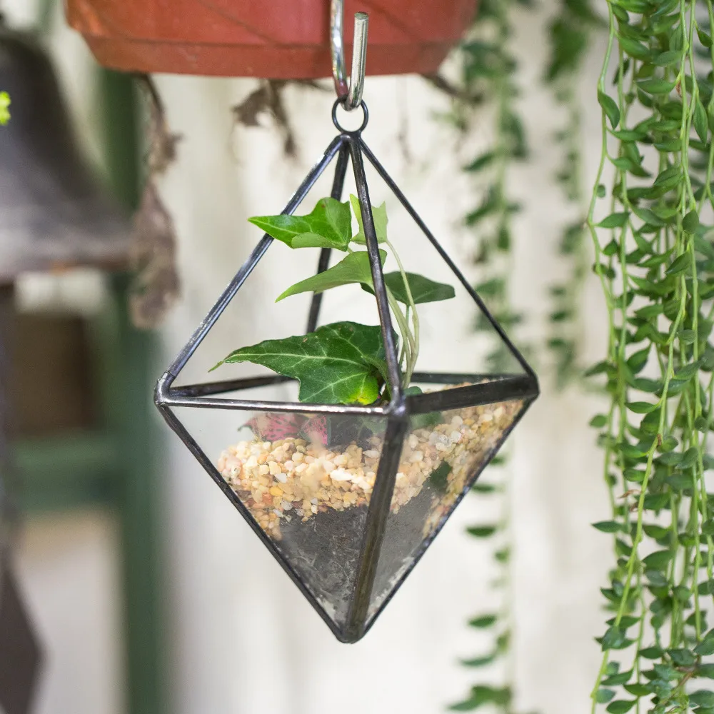  Modern  Gardening Hanging Planter Geometric Glass Container 