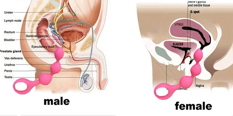Rose Nipple Anal Sex Toys For Women G Spot And P Spot Anal Plug Beads Handleheld Soft Silicone Anal Sex Products Toy Basket Sex Body Toyssex Drops Aliexpress