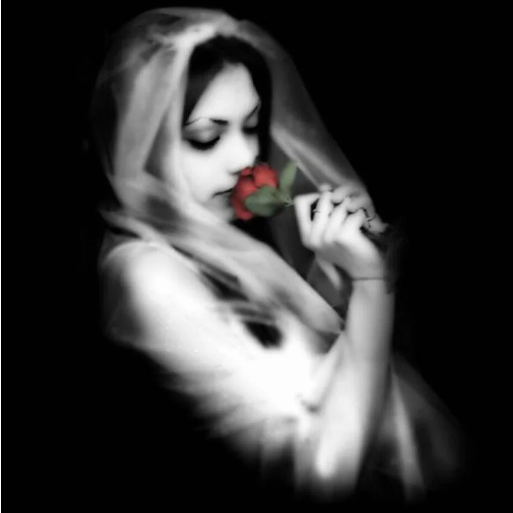 

Diamond embroidery 5DDIY diamond Painting Cross Stitch picture Home Decoration 5D Needlework diamond Mosaic Girl and roses H1350