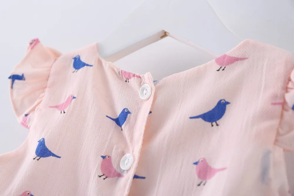 2965329149_2037273339