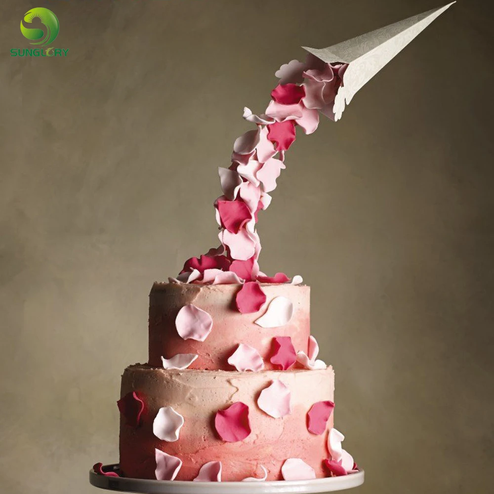 Подставка для торта, набор для заливки торта, опорная структура для легкого гравитации, не подходящая для торта, рамка для торта, руководство по конвертации бонуса в комплекте