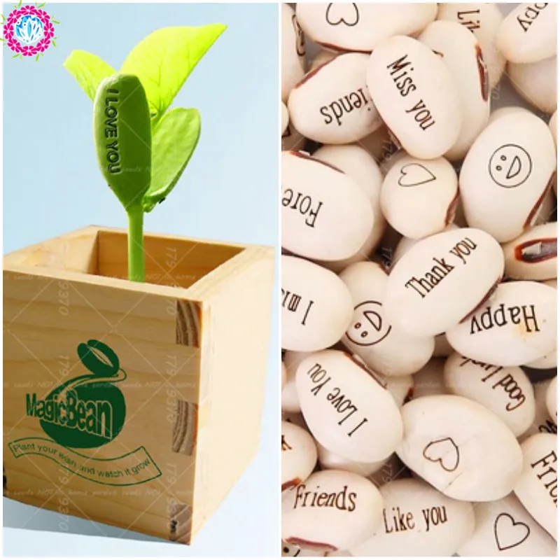 

3Pcs/Bag Magic Bean Bonsai Plant English Letter Leaf Pet Family Garden Decoration Garden Flower Pot Plant Horticulture