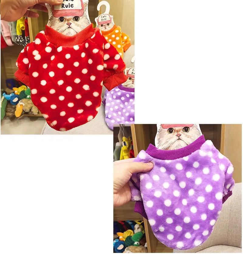 dog clothes french bulldog