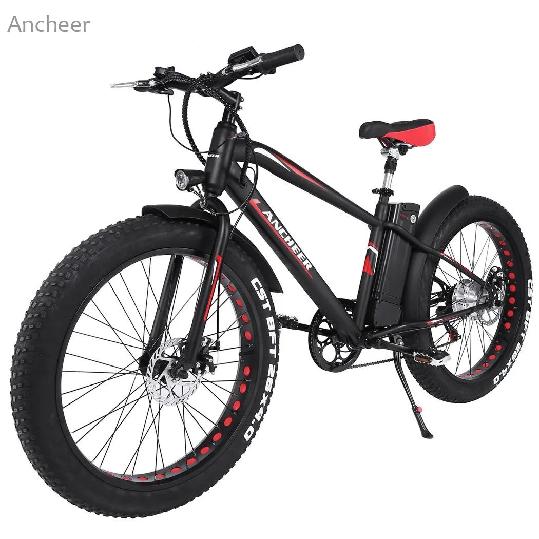 New Outdoor 36V10AH Lithium Battery E Bike Folding Electric Bicycle