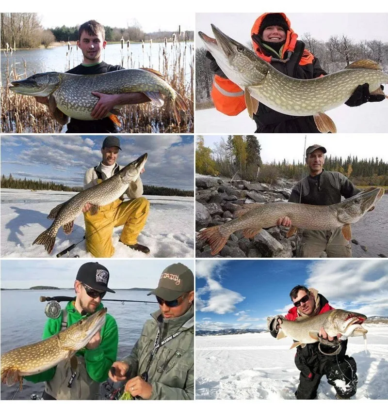 Cheap Carretilhas de pesca