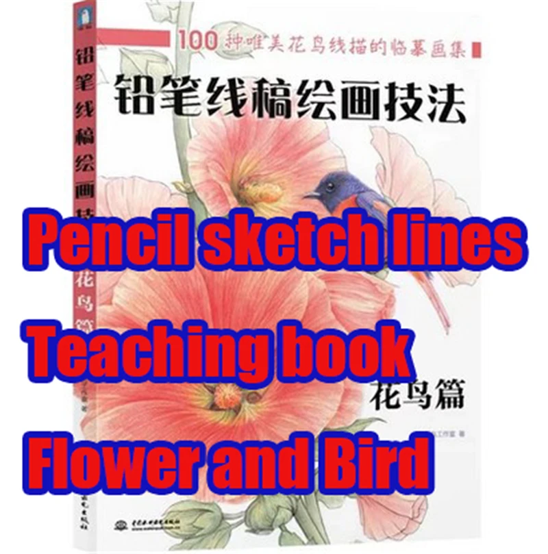 

Bird Sketch Book  Painted Graffiti Book Adult Painting Basics Techniques Coloring Books1 Piece
