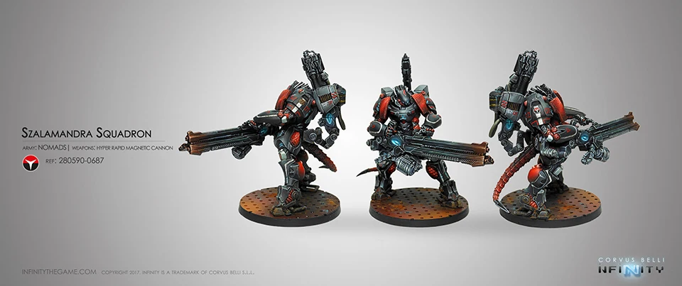 28312 Nomads Szalamandra Squadron