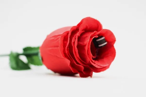 

The Fire Rose 2.0 - Magic Prop,Fire Magie,Illusions,Stage Magic Tricks,Close Up Magic,Street,Mentalism,Gimmick,Party Magic Show