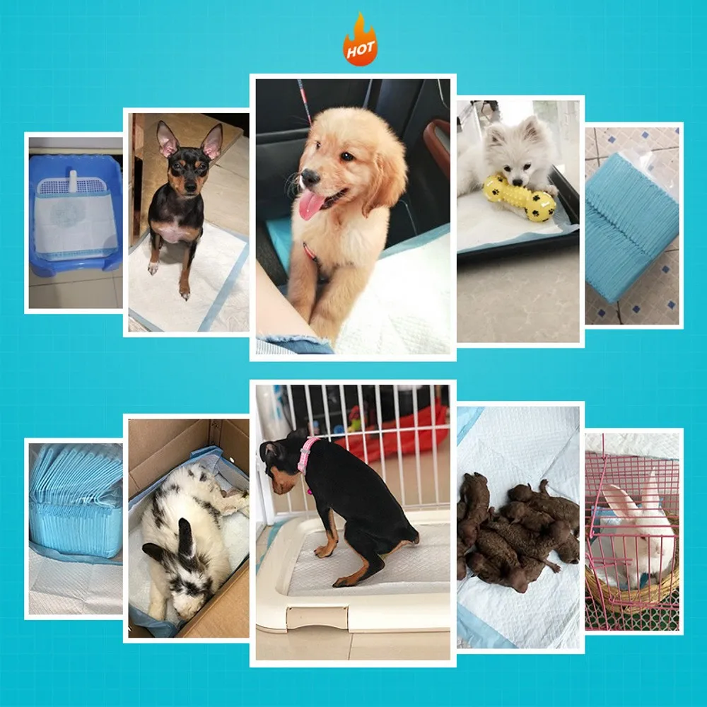 100 шт подгузники для собак коврик для домашних животных Кошки шорты для малышей супер водопоглощающие пеленки Дезодорант антибактериальный товары для домашних животных