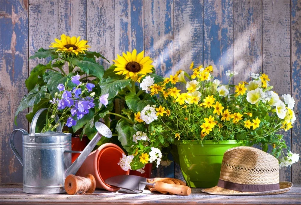 

Laeacco Spring Potted Flowers Garden Tool Planks Sunshine Baby Photo Backgrounds Photography Backdrops Props For Photo Studio