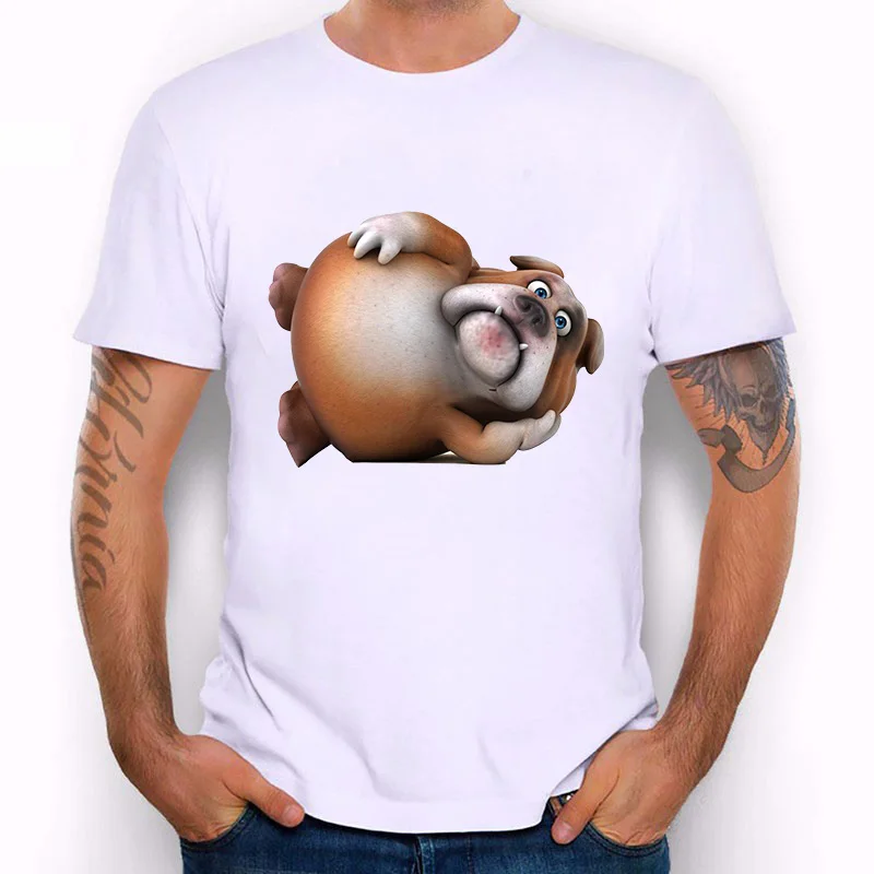 french bulldog-6