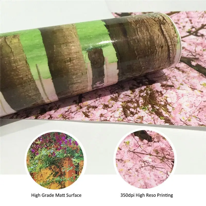 5796742127_1929931971