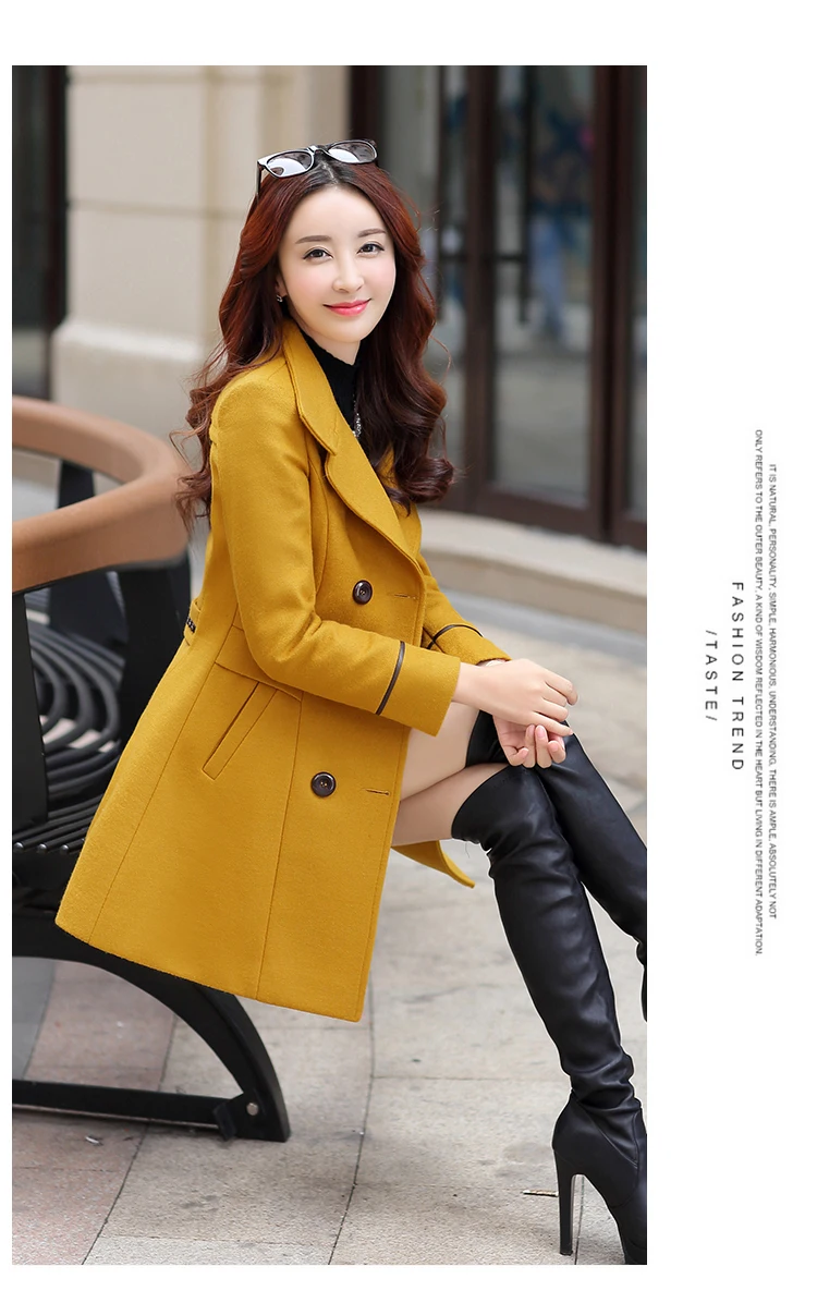 2017 Korean version of the new spring section of the female woolen slim thin woolen jacket in the long paragraph thin section Nizi coat (16)