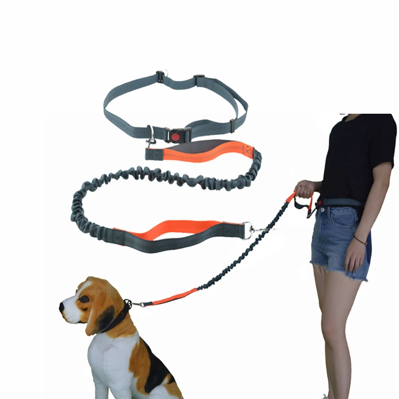 

Pet Dog Hands Free Leashes Elasticity Reflection Walking Harness Leash For Medium Dog Big Dog Collar Leads Rope Pet Supplier