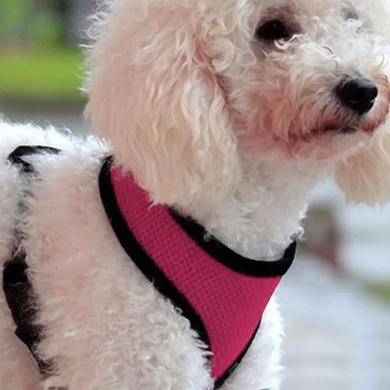 

7 Colors Dog Harness Vest Air Nylon Mesh Pet Dog Harness Puppy Teddy Collar For Small Dogs Products 30