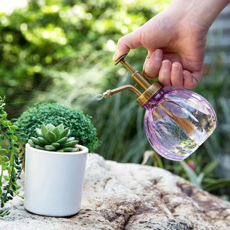 

A small pressure spray bottle is used to spray garden gardening flowers
