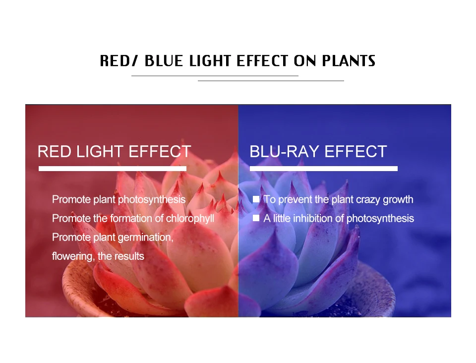 10pcs COB LED Grow Light Chip Phyto Lamp Full Spectrum 20W 30W 50W Diode Lamps For Plants Seedlings Indoor Greenhouse Hydroponic (5)