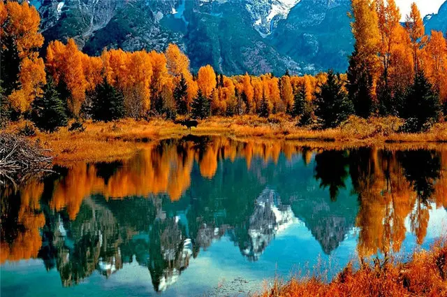 5D-Diamond-Painting-Lakeside-scenery-Full-square-Drill-Pasted-Cross-Stitch-Home-Decorative-Mosaic-Pictures-Diamond.jpg_640x640 (3)